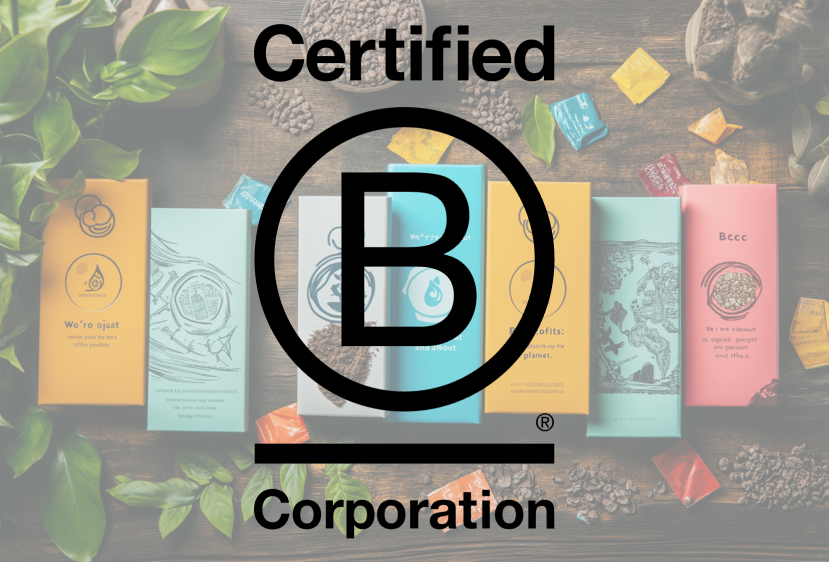 From Business to Force for Good: The Path to B Corp Certification