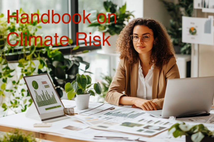 A Handbook on Climate Risk: Assessing, Controlling, and Communicating with Expertise